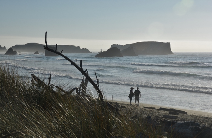 people on beach in silhouette